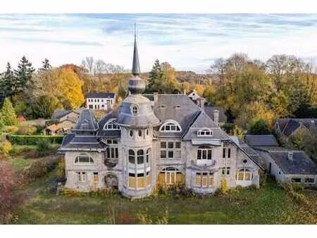 chäteau + projets de 40 résidences services à rhisnes