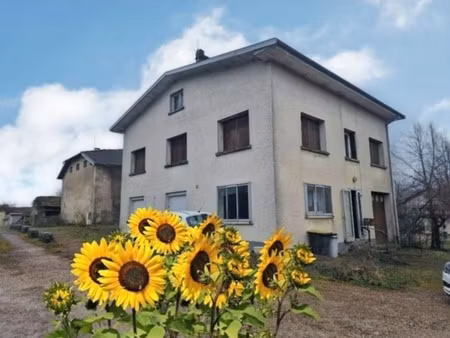 ensemble immobilier : 2 maisons à vendre proche vittel (88) avec garage et atelier - terra