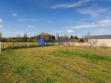 vente terrain 700 m² à allonnes (49650)  38 500 €