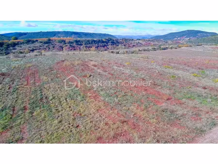 vente terrain 12406 m² à saint-guiraud (34725)  10 000 €