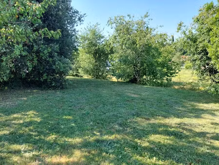 vente terrain 1000 m² à montech (82700)  80 000 €
