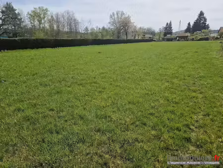 vente terrain à batir 3010 m² à corcieux (88430)  54 000 €