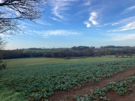 vente terrain à pluvigner (56330)  65 520 €