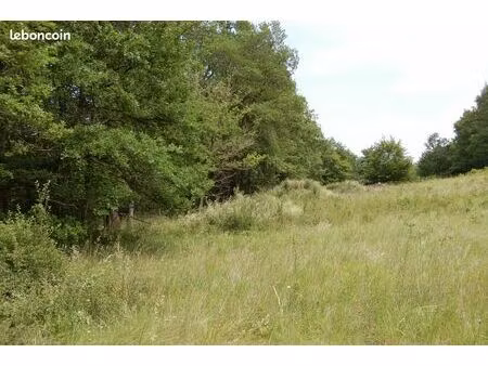 pézuls – magnifique terrain naturel de 4 1 hectares dans le périgord noir