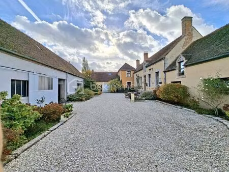 propriété de caractère au bord de loire sur 27 677 m²