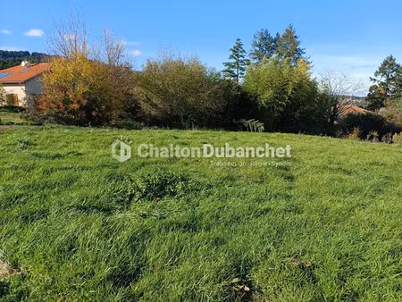 vente terrain 1453 m² à saint-haon-le-châtel (42370)  97 000 €
