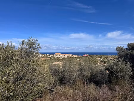 vente terrain 2655 m² à santa-reparata-di-balagna (20220)  651 000 €