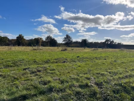 vente terrain 886 m² à saint-selve (33650)  170 000 €