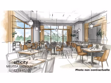 vente locaux professionnels 290 m² à ferney-voltaire (01210)  249 000 €