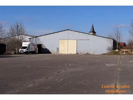 vente locaux professionnels 1 pièce 7400 m² à saint-blin (52700)  90 000 €