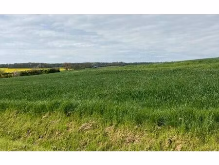 terrain grisolles m² t- à vendre  45 000 €