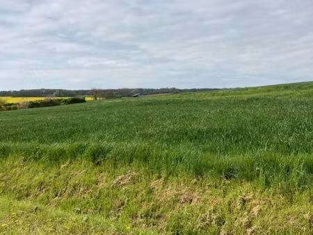 terrain 2 898 m² grisolles