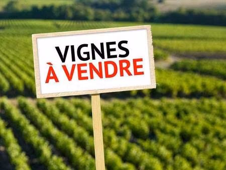 terrain à vendre