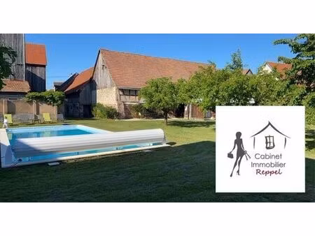 maison de 10 pièces de luxe en vente à friesenheim  france