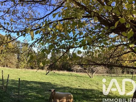 vente terrain 1 983 m²