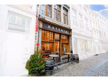 commercieel te koop in luik