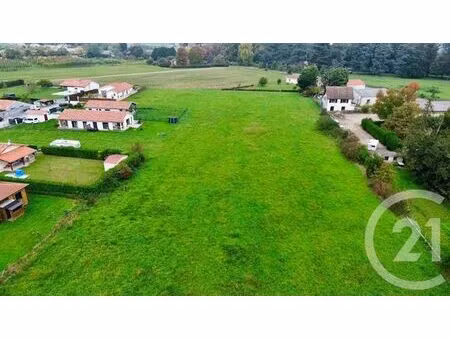 terrain à vendre - 11700 m2 - labastide villefranche - 64 - aquitaine