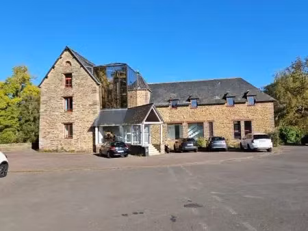 immobilier professionnel à vendre guichen