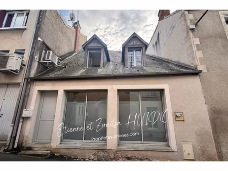 achat immeuble 146m² issoudun 36100