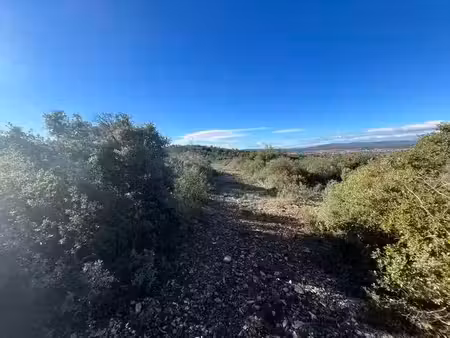 terrain non constructible de 0 pièces principales