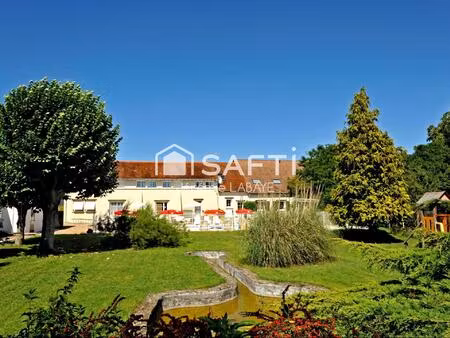 vente immeuble 550 m² coings (36130)