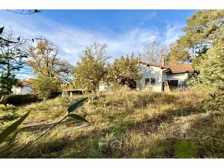 annonce terrain à vendre