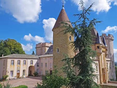 vente maison 8 pièces 220 m² à chaintré (71570)  495 000 €