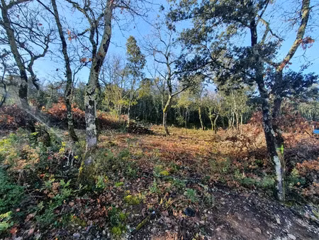 vente terrain 1150 m² à labastide-de-virac (07150)  88 000 €