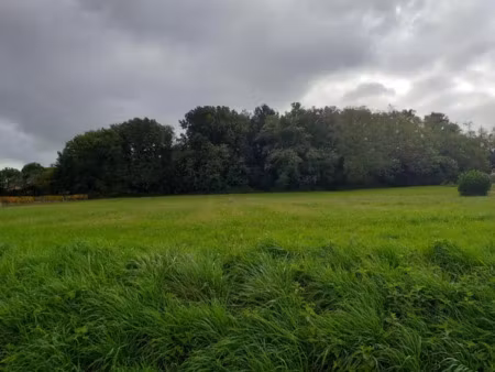 vente terrain 1400 m² à sadirac (33670)  140 000 €