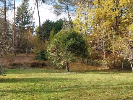 vente terrain 1500 m² à chancelade (24650)  600 000 €