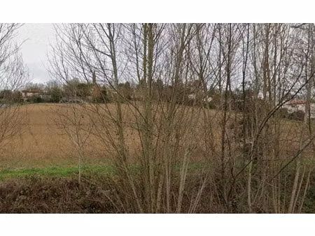 vente terrain 560 m² à corronsac (31450)  122 900 €