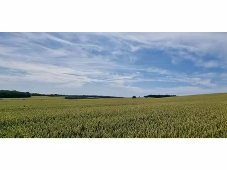 vente terrain 1045 m² à saint-fuscien (80680)  205 000 €