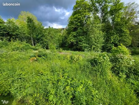 terrain 1722 m² foncine le haut