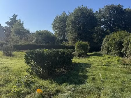 nouveaute