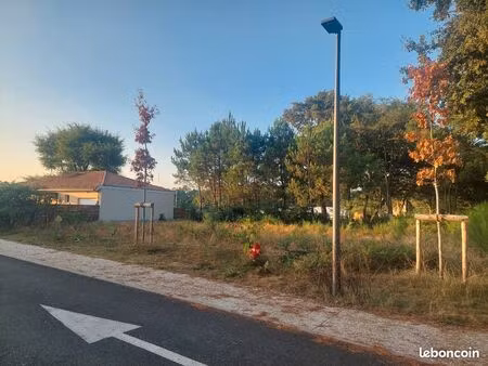 terrain viabilisé castets libre constructeur