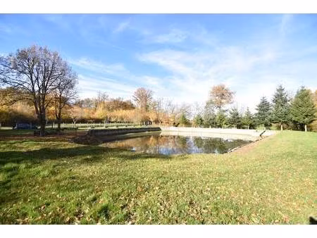 vente commerce 3450 m² savigny-en-sancerre (18240)