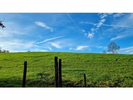 terrain à vendre à champagne waimes (vbd50992)