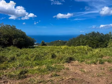 terrain 750 m² le carbet