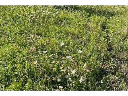 terrain constructible à vendre