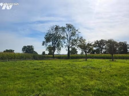 terrain 85000 m² montchamp