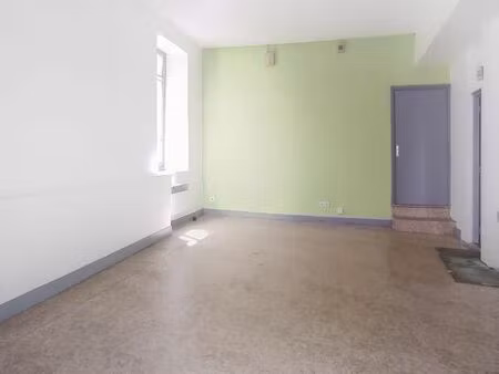 locaux professionnels millau