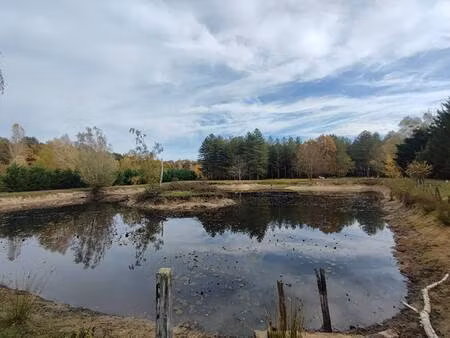 square habitat orleans bannier