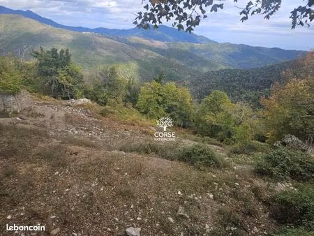 terrain 704 m² pietraserena