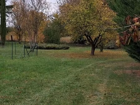 terrain constructible