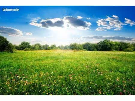 terrain 660 m² saint laurent medoc