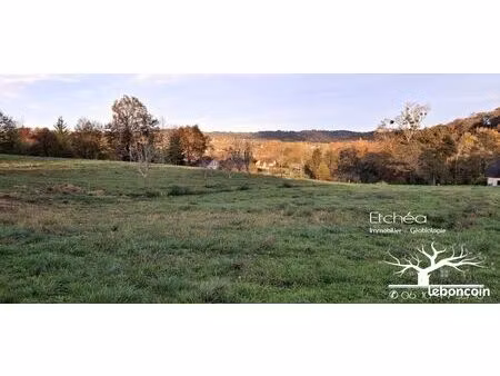 terrain 2348 m² lasseube