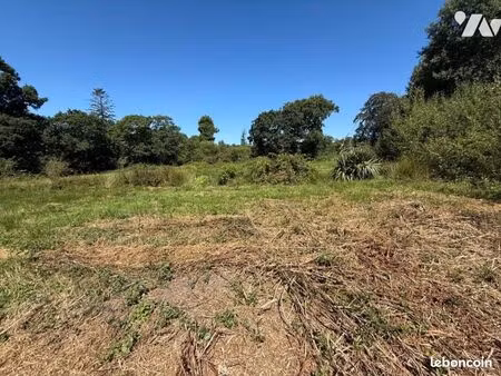 terrain 7346 m² martinvast