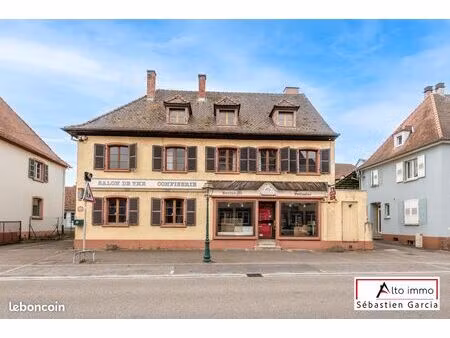 immeuble 711 m² soultz-sous-forêts