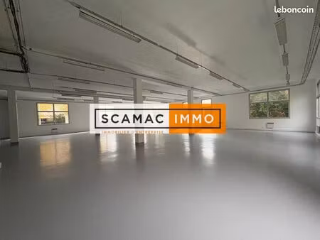 local d'activité 293 m²