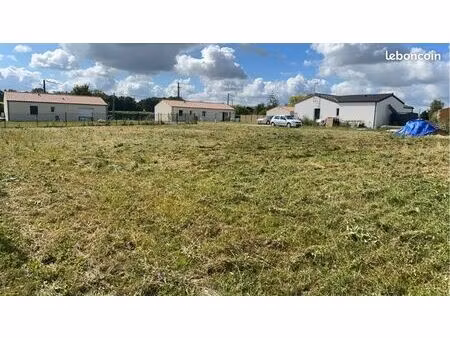 terrain constructible